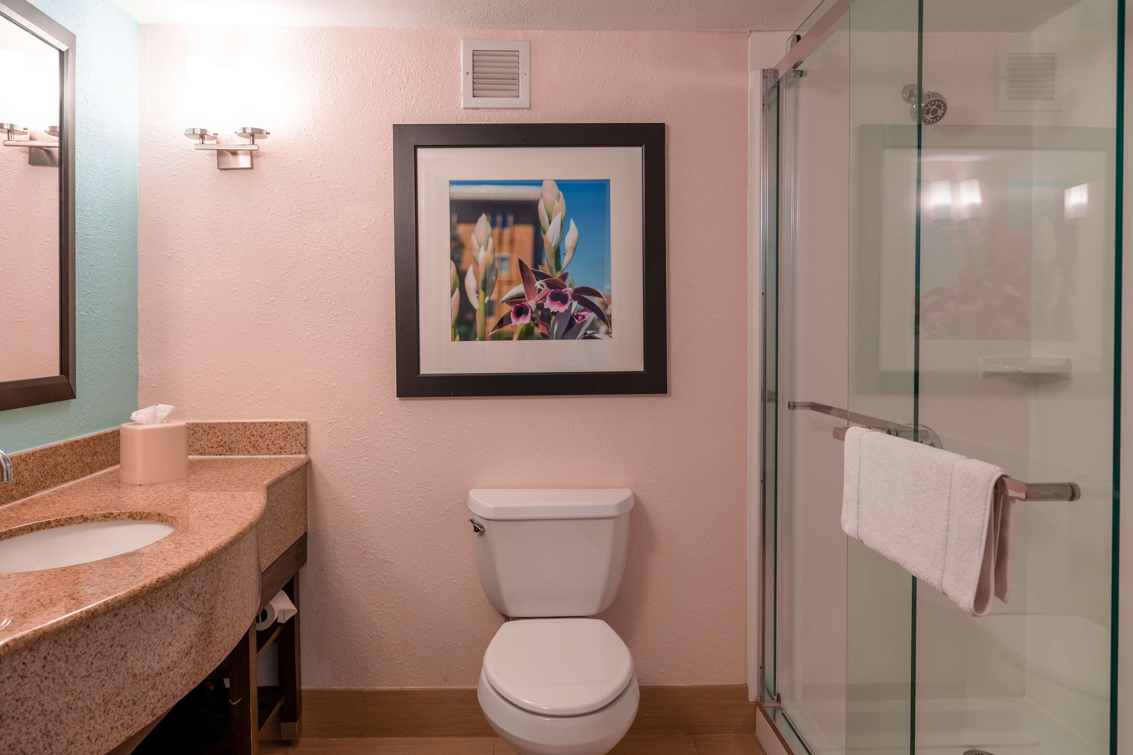 Hilton Garden Inn Orlando East - Ucf Area Alafaya Екстериор снимка